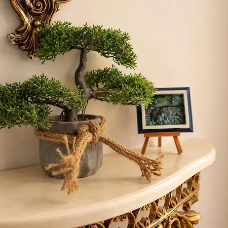 γαλατιανή θεα Galatian View Tatil Evi *